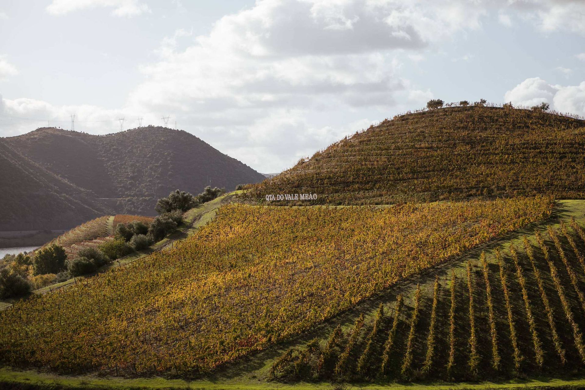 Terrasses de Vale Meão au-dessus du Douro