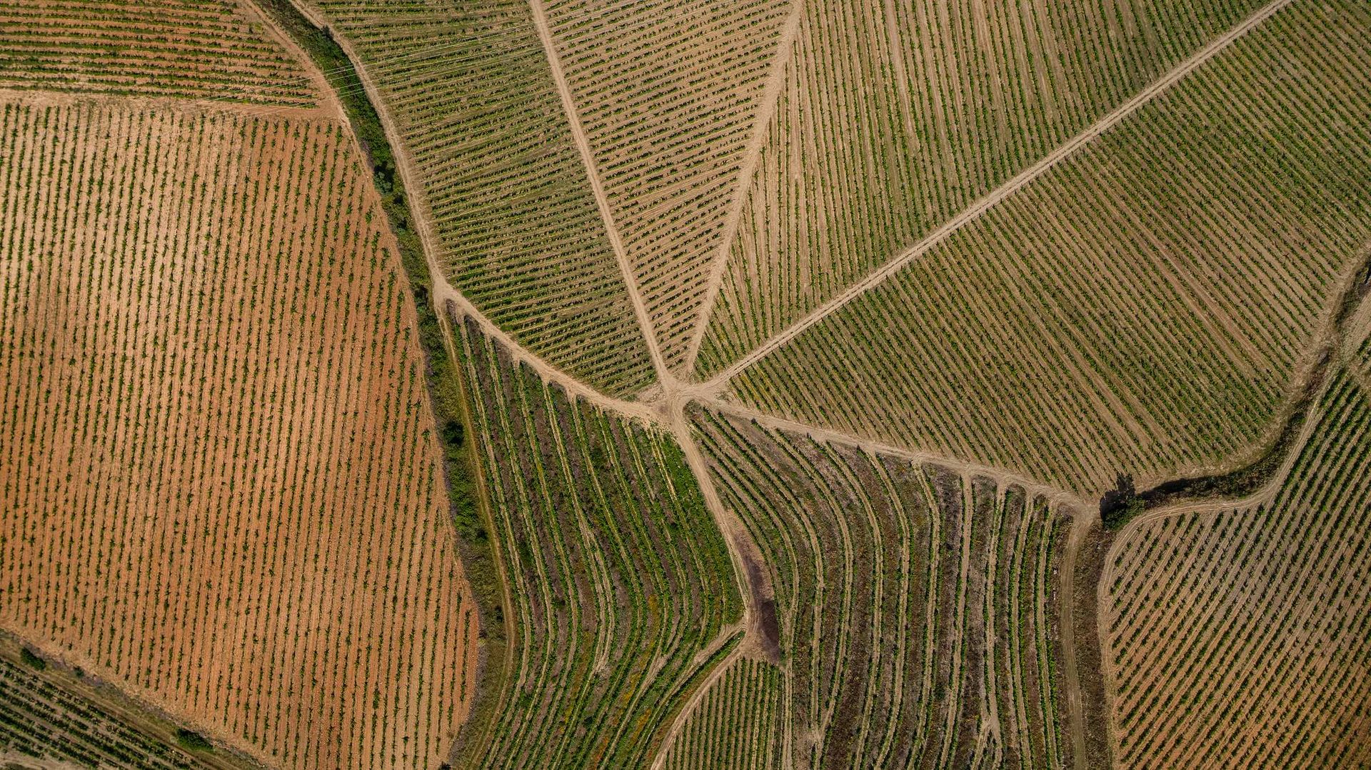 Parcelles de Vale Meão vues du ciel