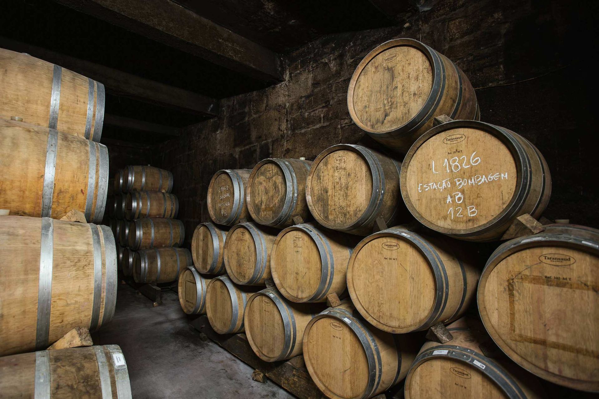 Fûts dans le chai de Quinta do Vale Meão