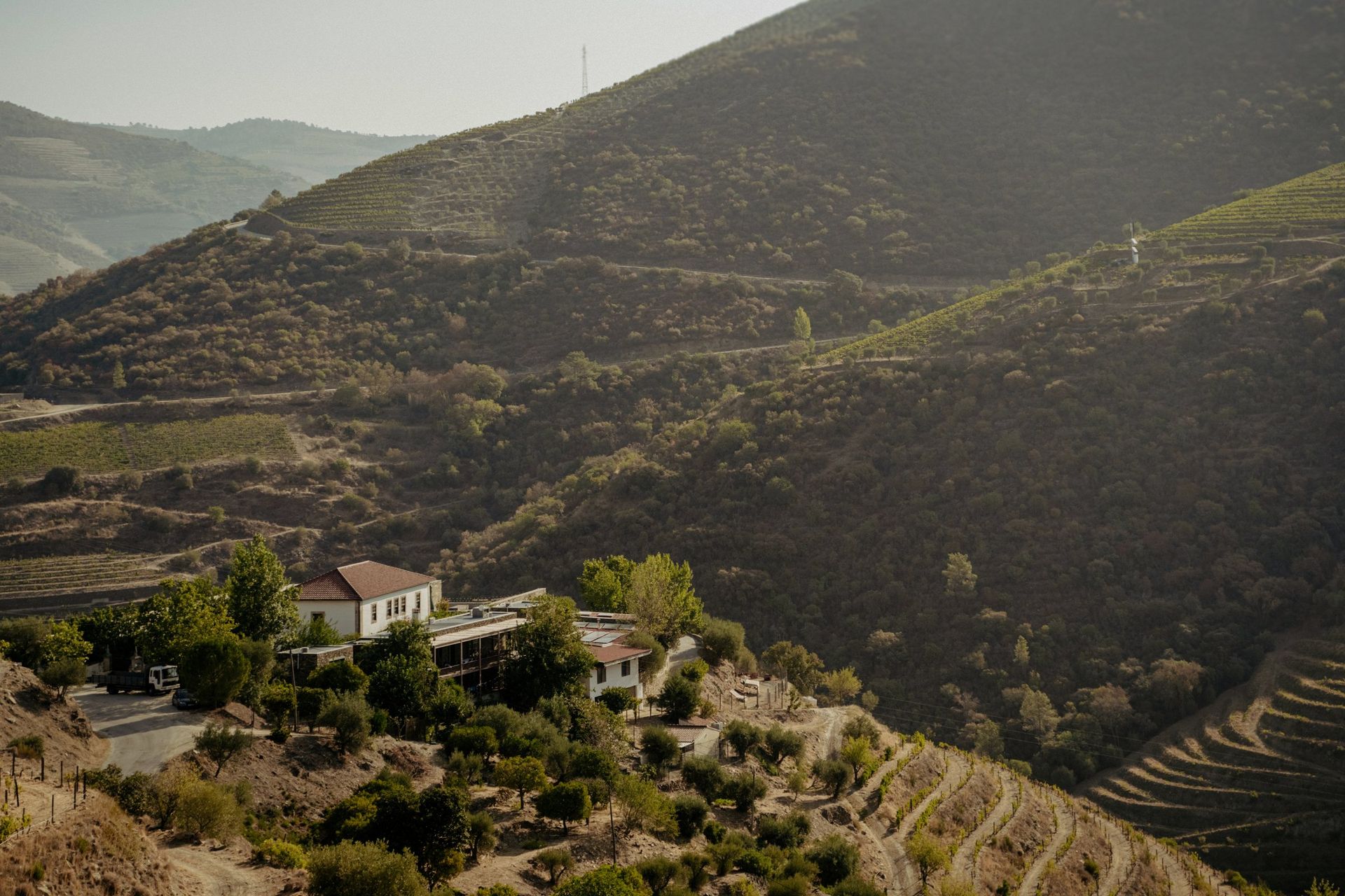 Niepoort