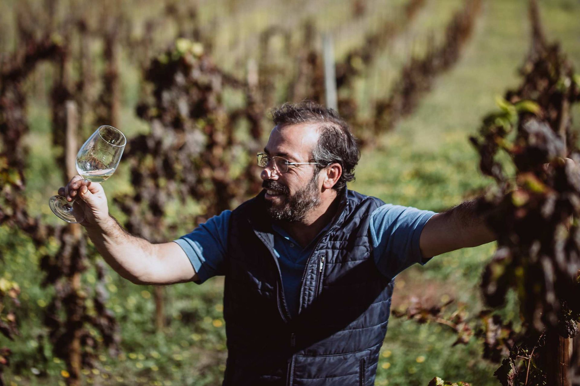 Hamilton Reis dans sa vigne