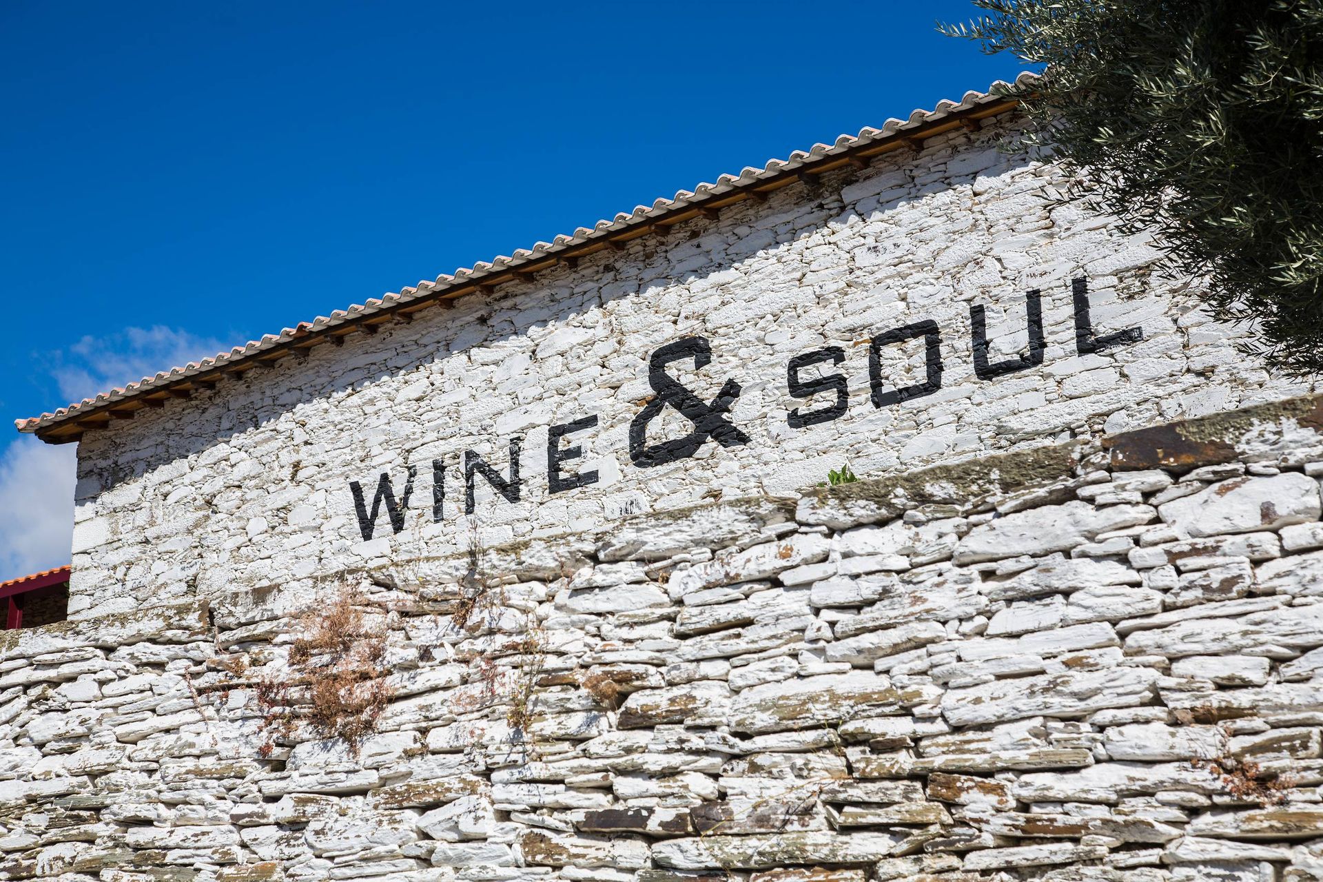 The Wine & Soul logo on a schist wall