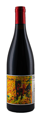 Palhete Ainda 2021, Antonio Madeira