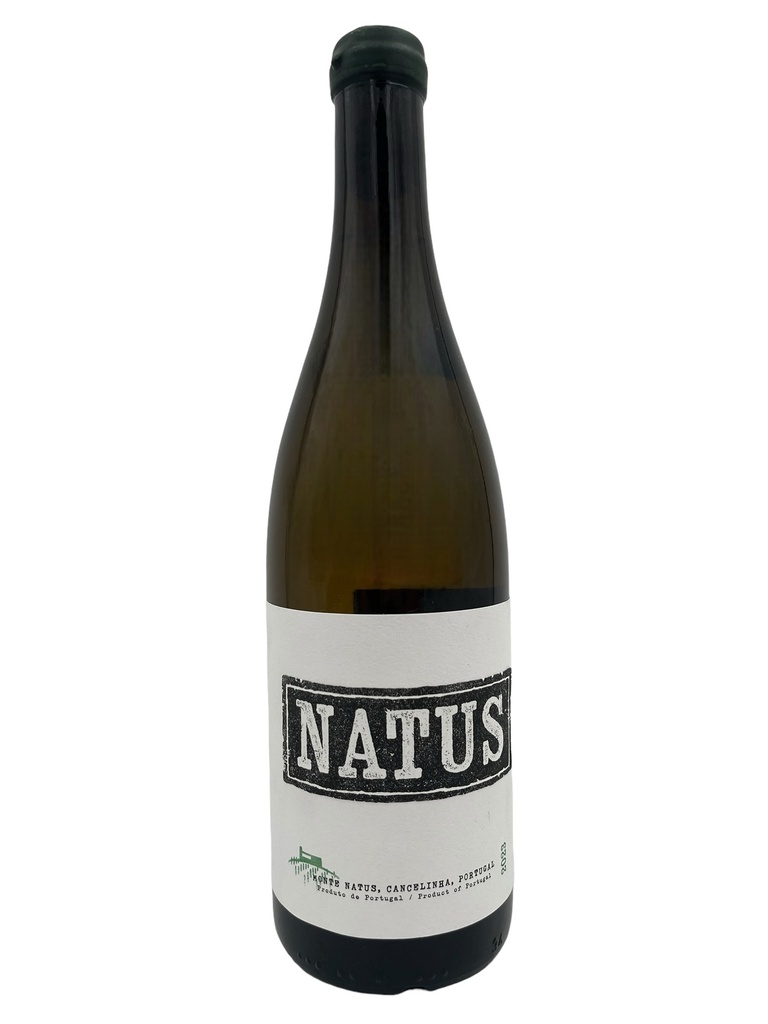 Natus Branco 2024 