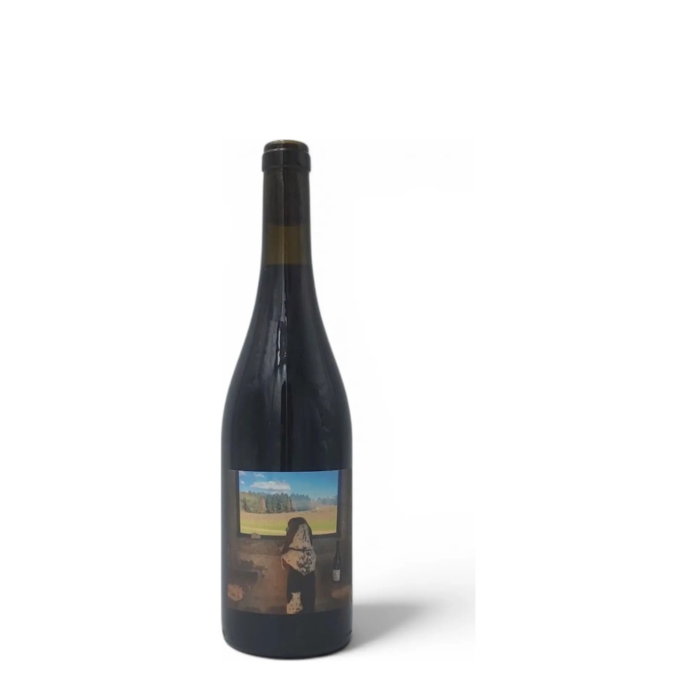 Quinta de Saes Tobias tinto 2022 