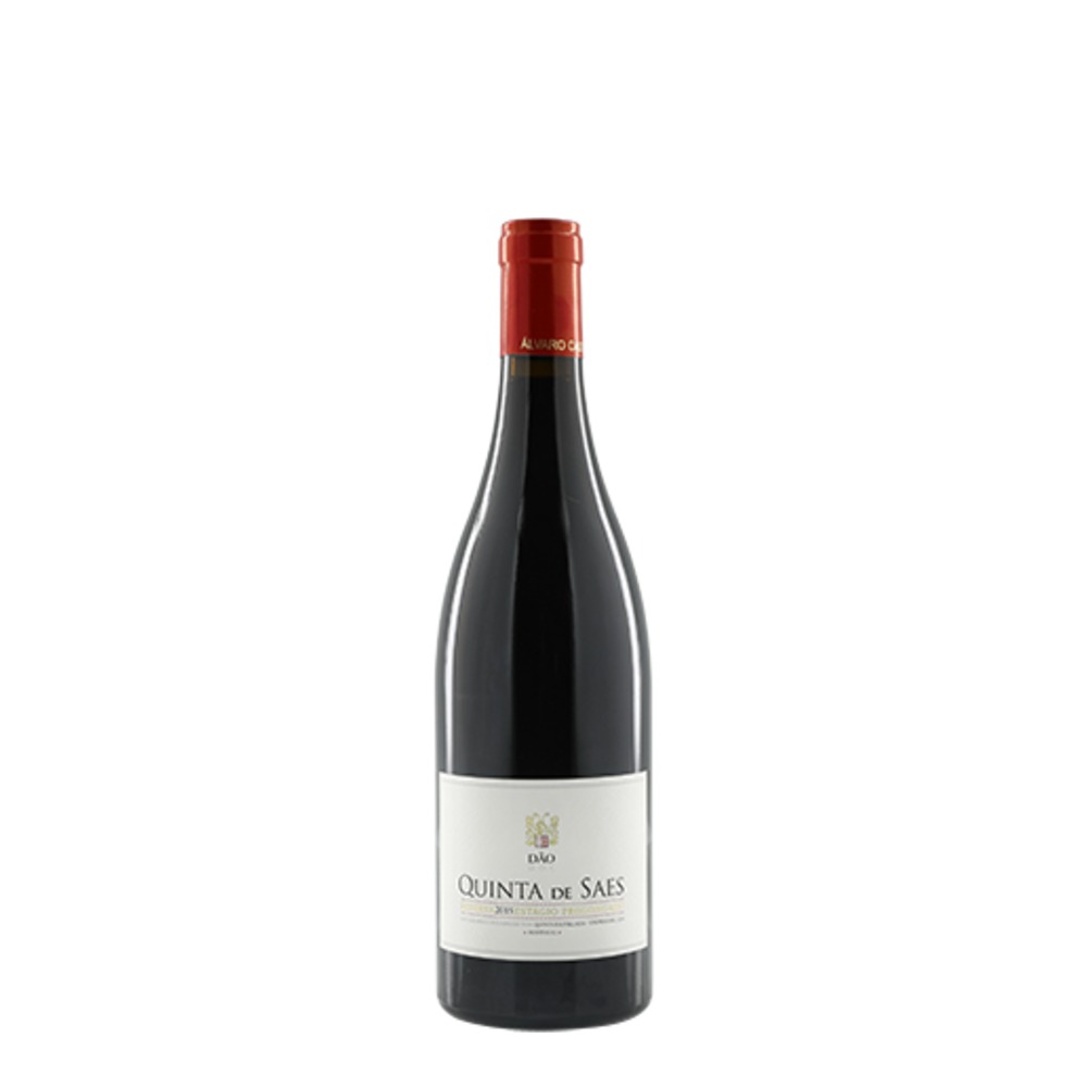 Quinta de Saes Estagio Prolongado 2021