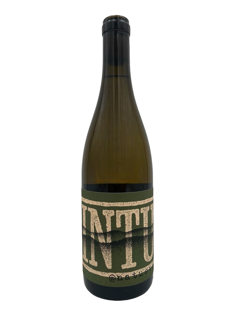 Intus Branco 2024