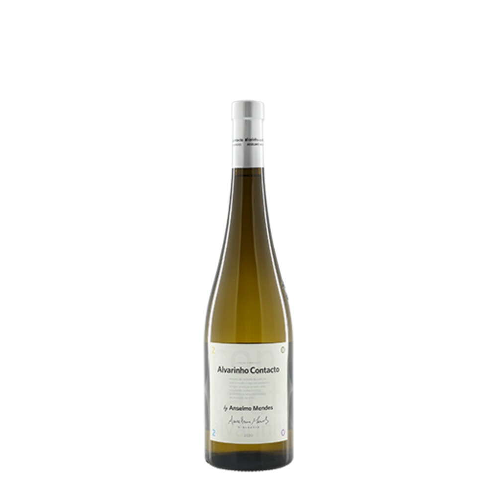 Alvarinho Contacto 2025