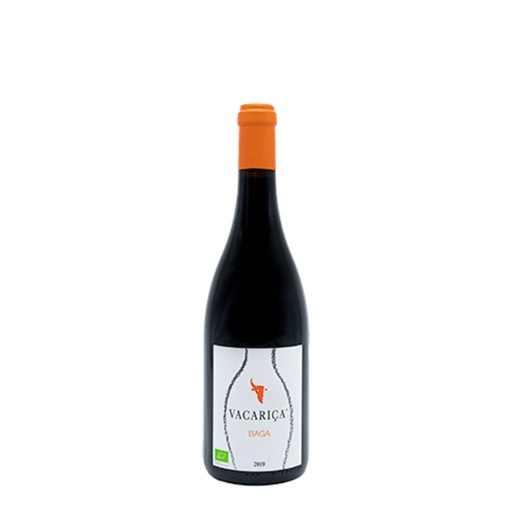 [J] Quinta da Vacariça Baga Anfora 2019