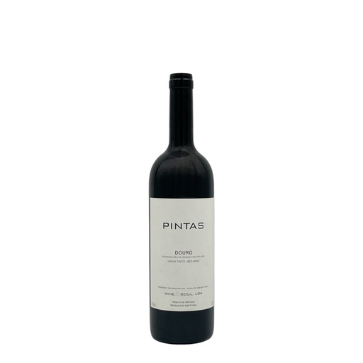 [J] Pintas 2020
