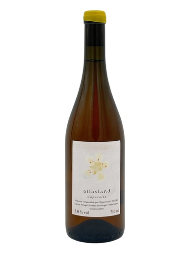 [J] Capovolto 2023, Atlas Land