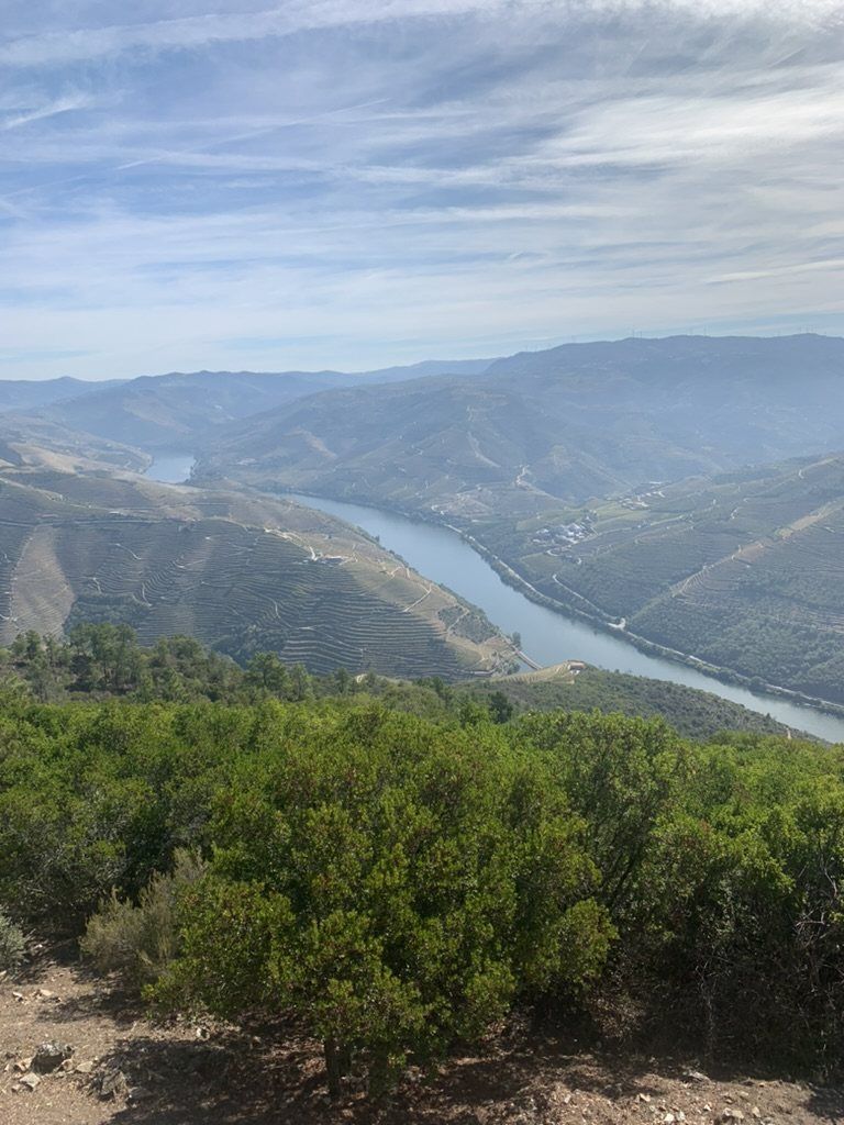 The Douro valley with its winding river