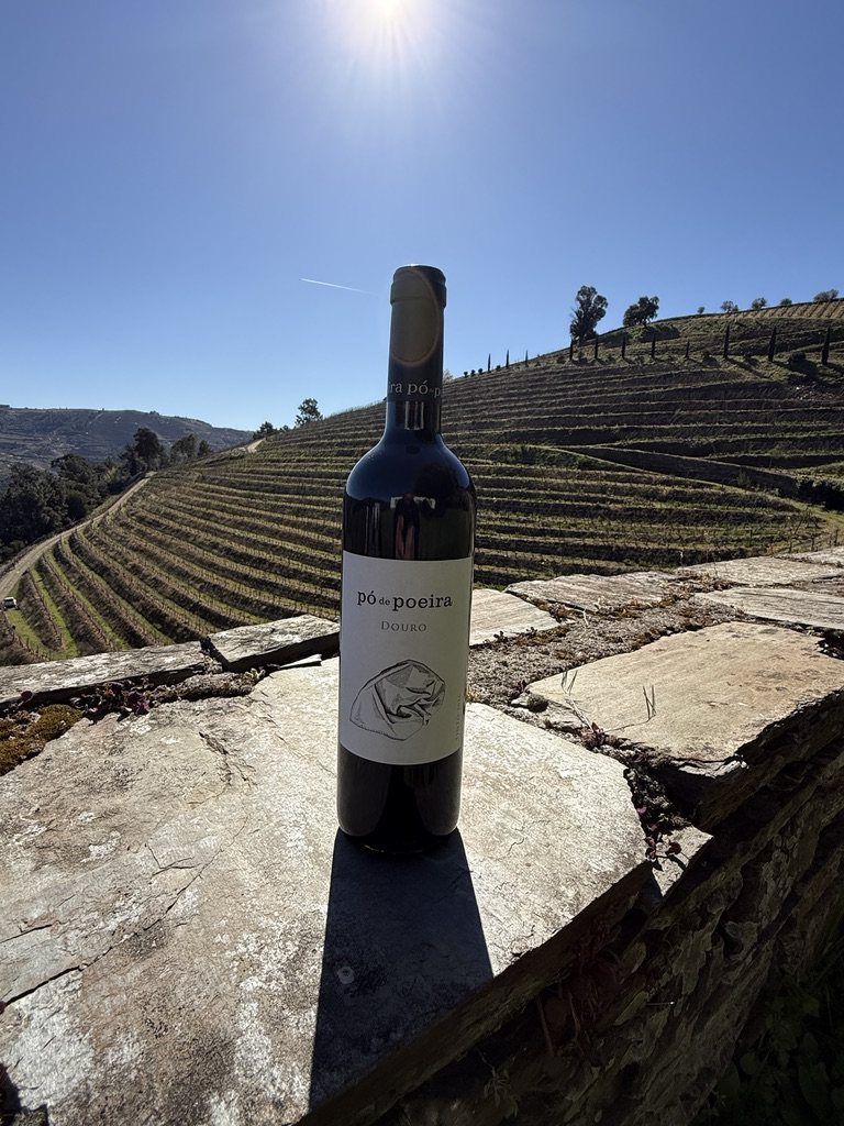 Bottle of wine on a schist wall above the Douro terraces
