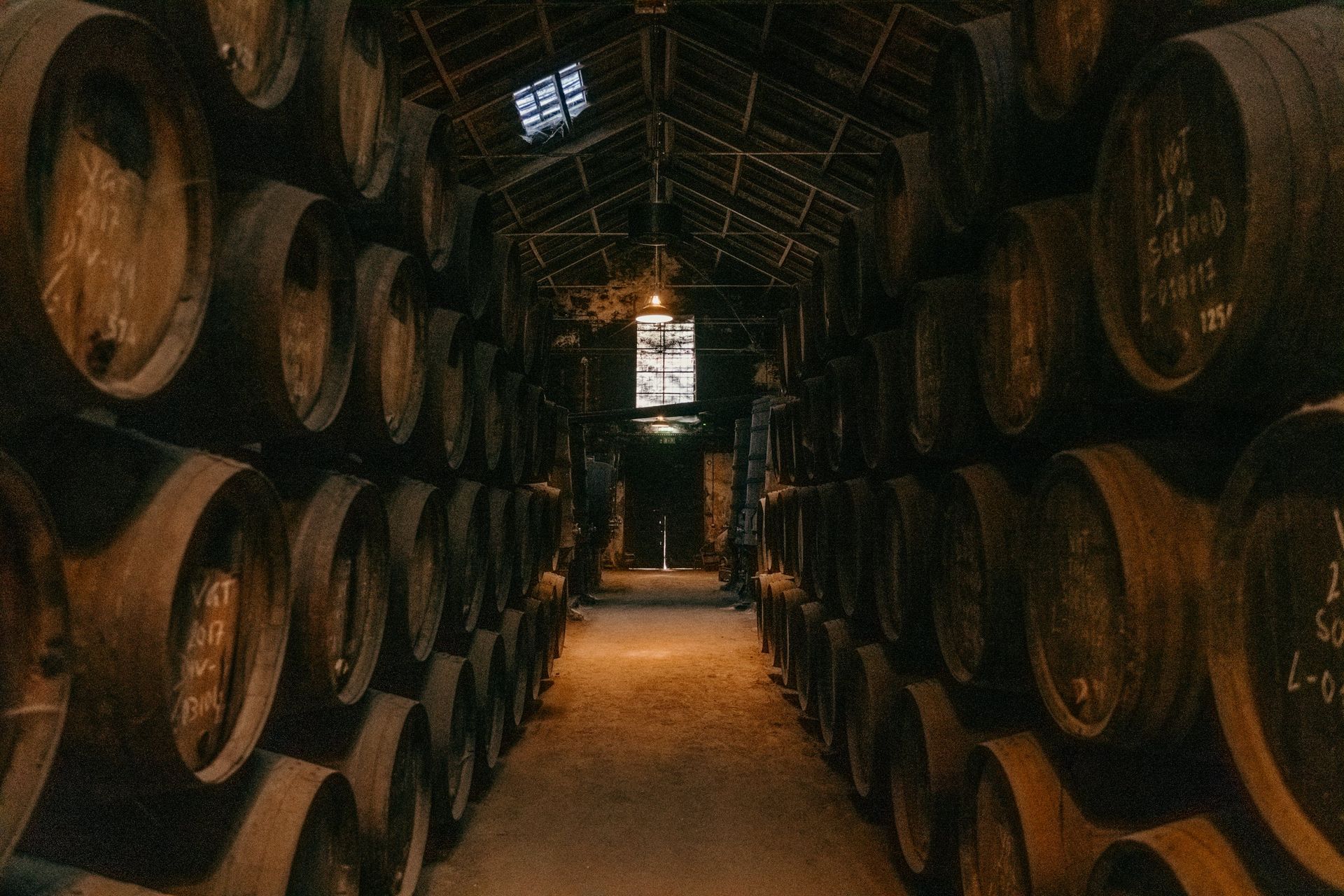 Rows of casks in the Niepoort port cellar