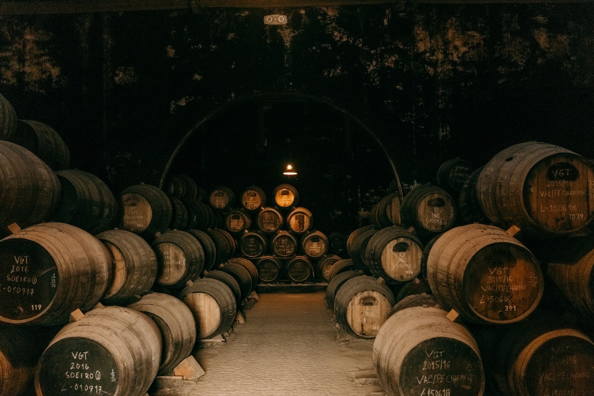 Casks in the dim cellar