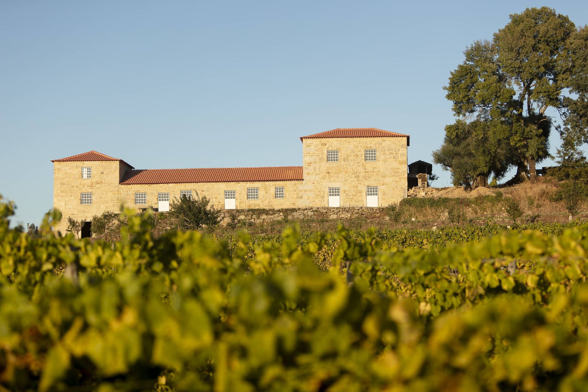 Le manoir de la Quinta da Torre au milieu des vignes