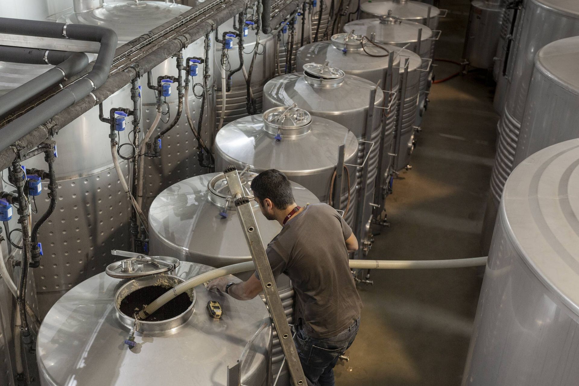 Cuves inox dans le chai