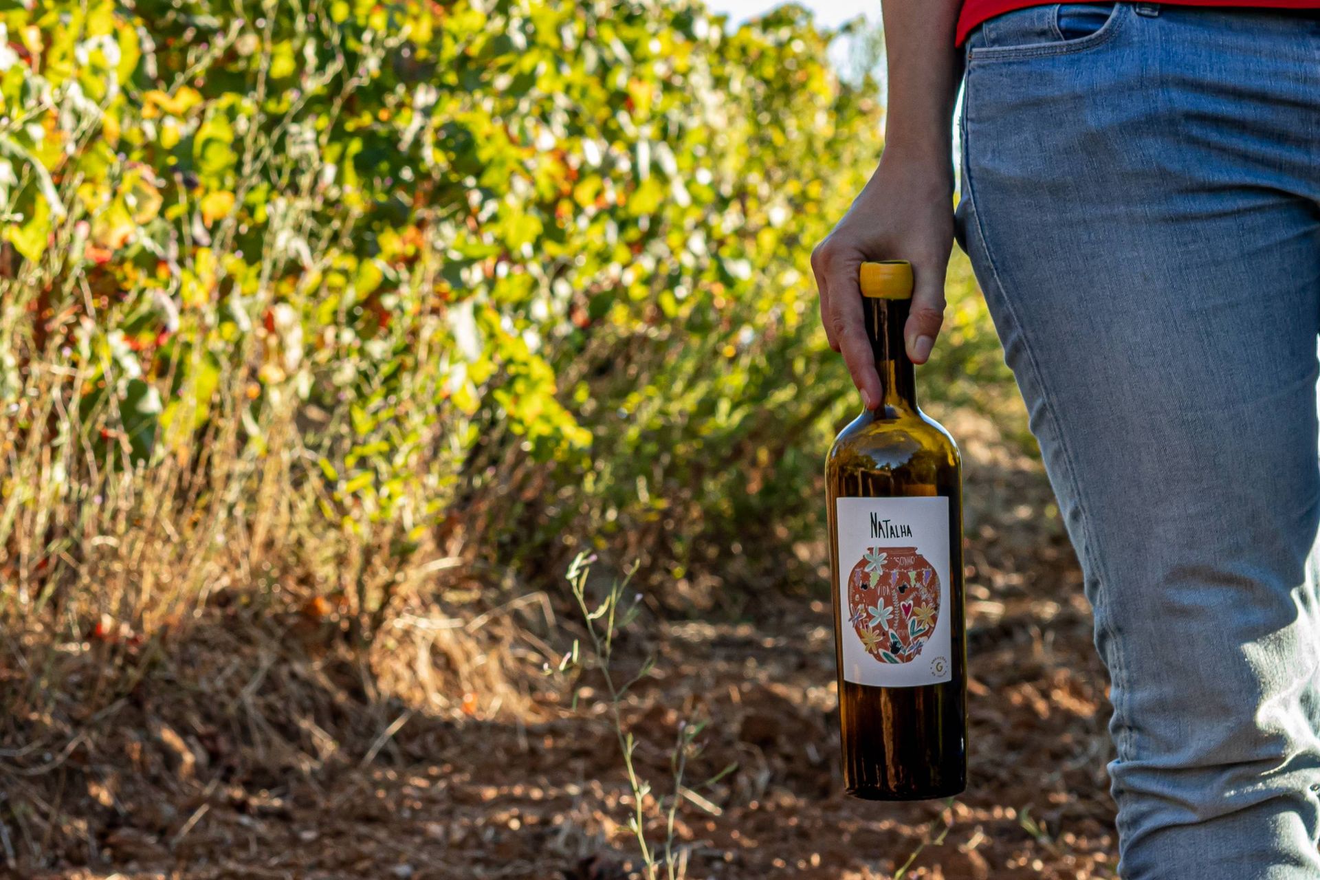 A bottle of Gerações da Talha in the vineyard