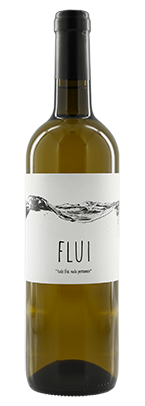 Flui 2022