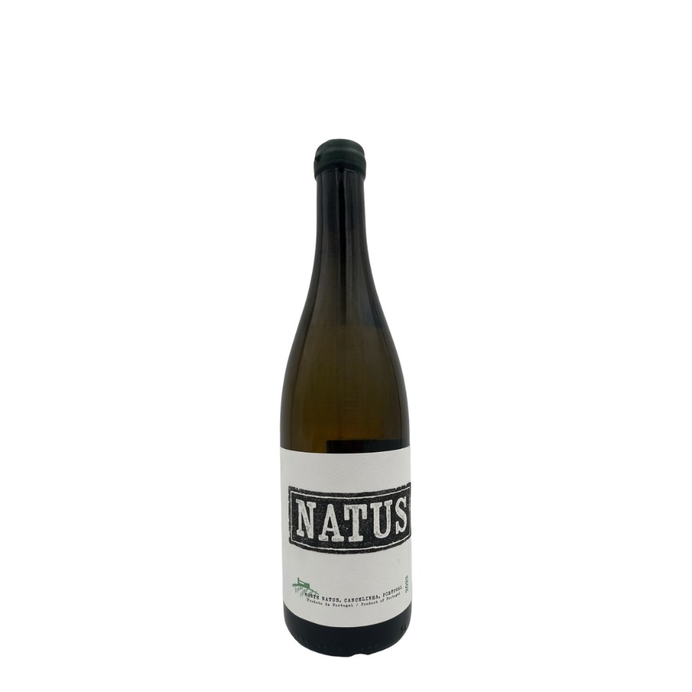 Natus Branco 2023