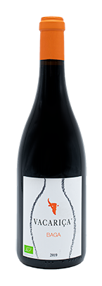[J] Quinta da Vacariça Baga Anfora 2019