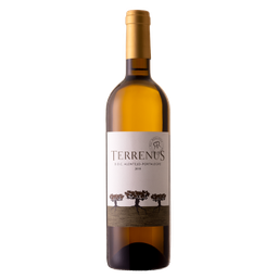 [J] Terrenus branco 2022