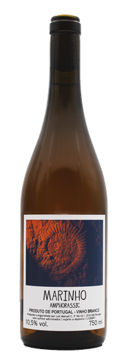 [J] Marinho Amphorassic 2022