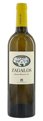 [J] Zagalos branco 2022