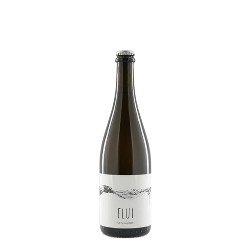 [J] Flui Pet Nat 2024
