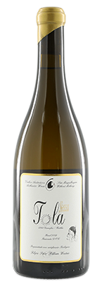 [J] Nossa Tola Bical 2023