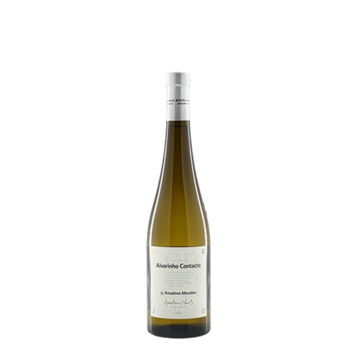 [J] Alvarinho Contacto 2025